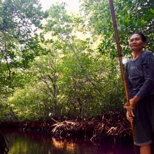 MINGLE IN THE MANGROVES